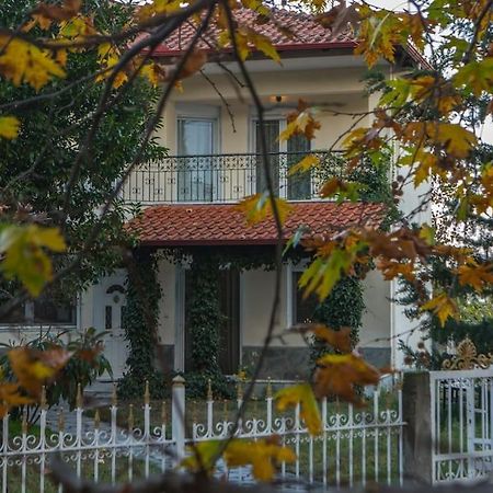 Woods Cottage Loutra Pozar Aridaia Megaplatanos Bagian luar foto